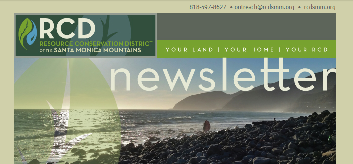 Newsletter Screen Grab 2