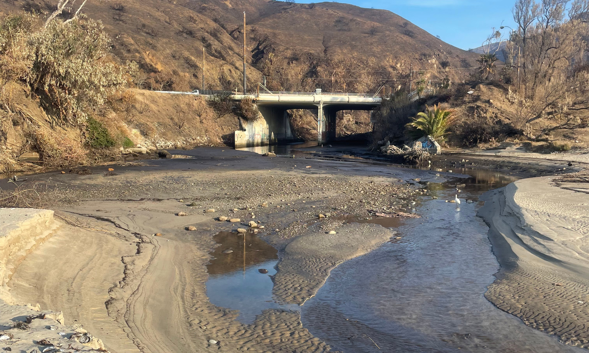 Filled in Topanga Lagoon