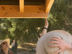 Fire Demo Structure_Website Thumbnail