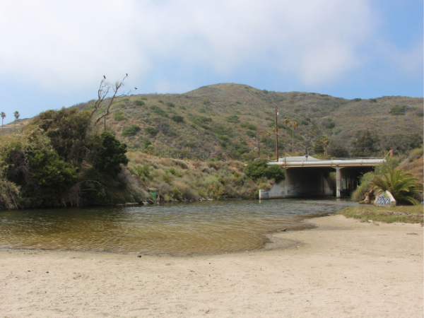 Lagoon Restoration MLSB_Website Thumbnail