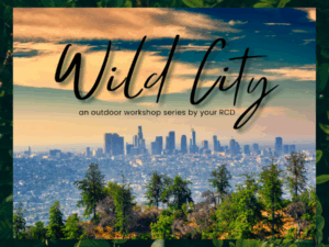 Wild City Workshop (Postcard) (300 × 300 px)