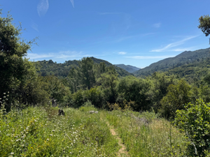 Santa Monica Mountains