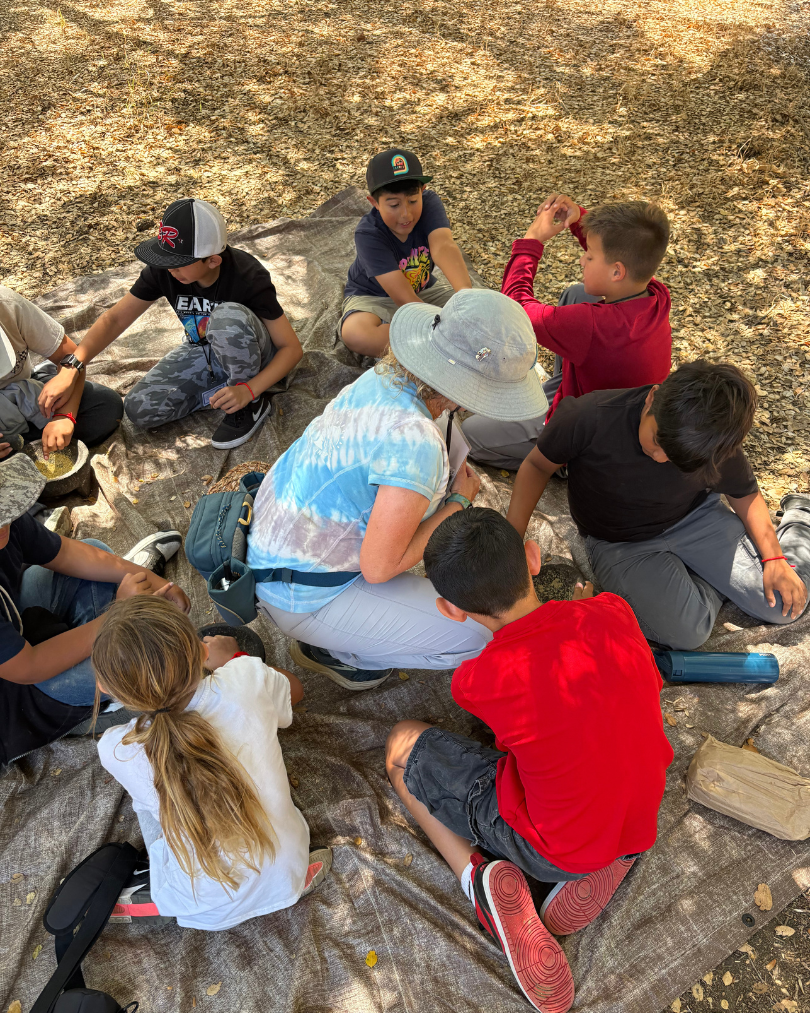 Giving Tuesday Website Graphic - Native Turtle