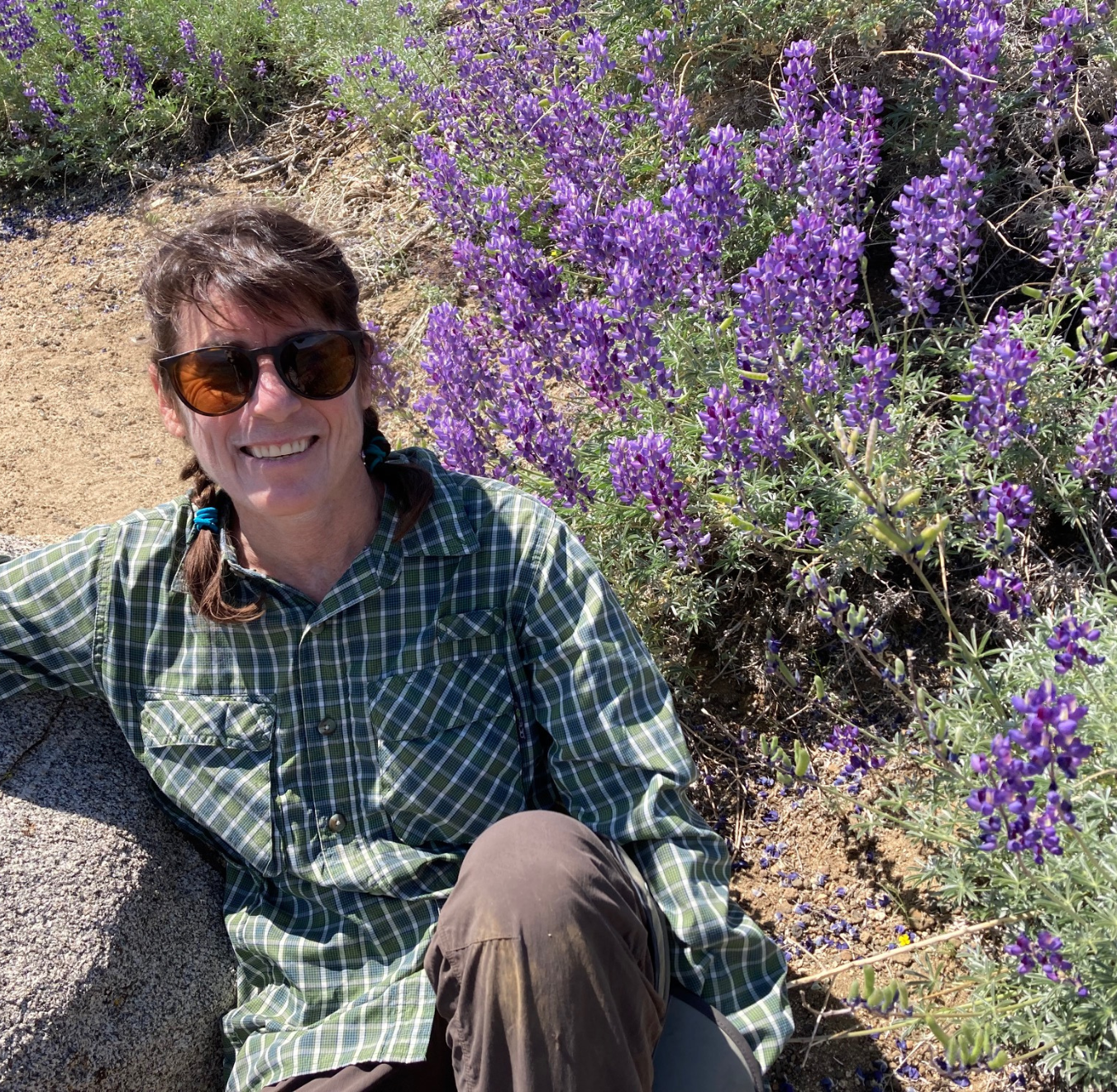Staff Headshot Placeholder - baby western pond turtle